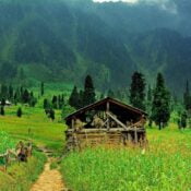 Discover the Enchanting Kashmir
