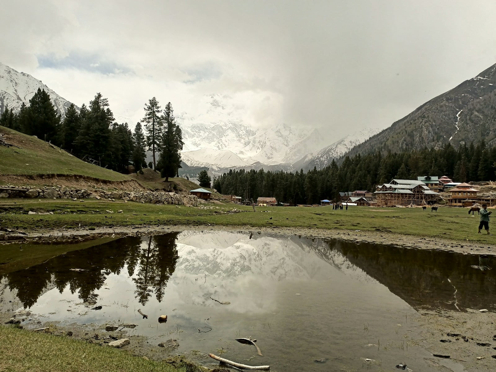 Fairy Meadows